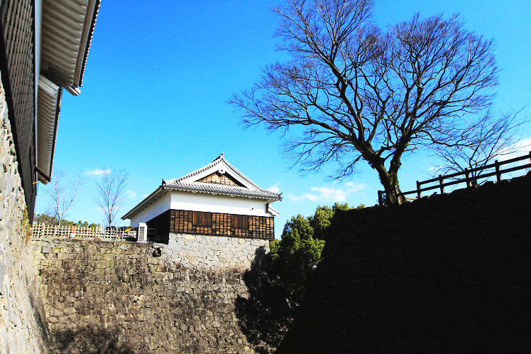 小董带你去旅行,小懂海外旅行