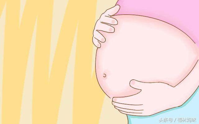 孕期各阶段胎儿发育水果图,胎儿大小与水果对照图1-10月