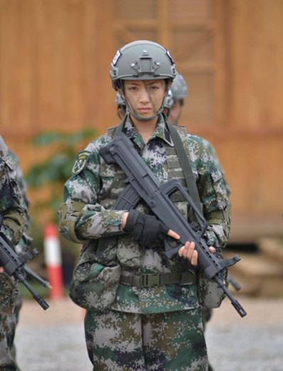 特种兵之火凤凰程愫用刑,特种兵之火凤凰分手