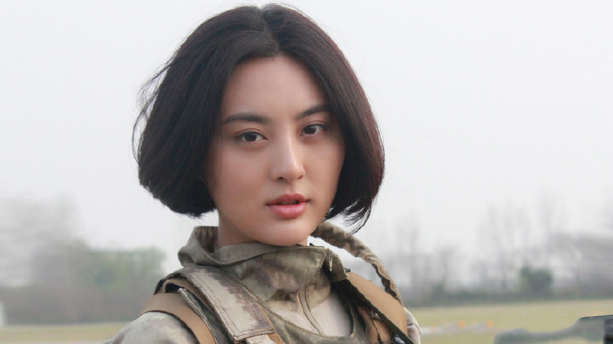 特种兵之火凤凰程愫用刑,特种兵之火凤凰分手