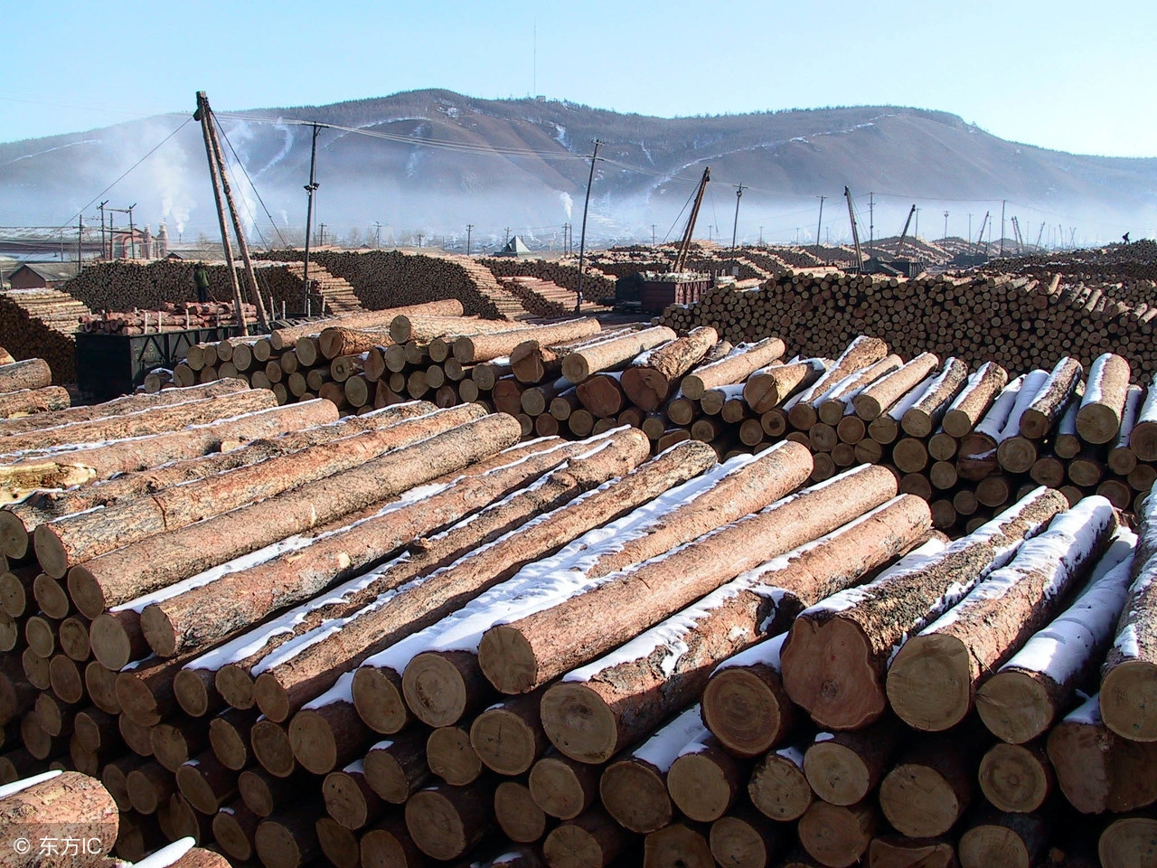 东北之行收获真情实意,东北之旅的快乐时光