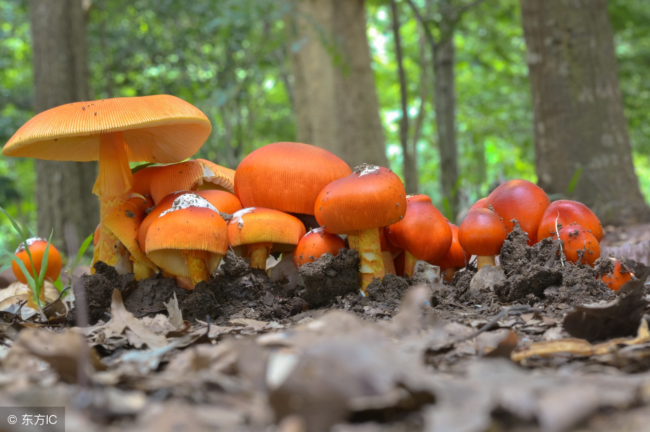 东北之行收获真情实意,东北之旅的快乐时光