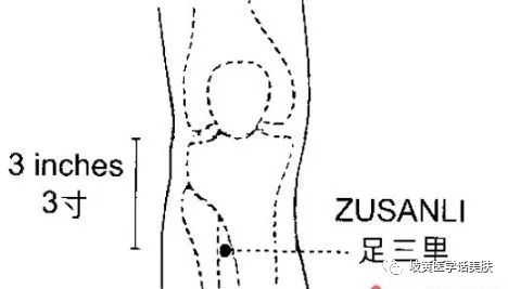 「杏林微科普」带您了解:中医穴位埋线