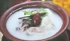 冬天甲鱼怎么样放才不死,这个季节甲鱼适合怎么吃