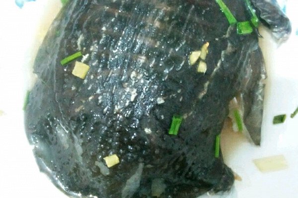 冬天甲鱼怎么样放才不死,这个季节甲鱼适合怎么吃