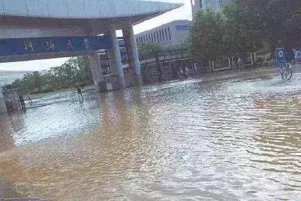 全国人眼中的南京大学,各省眼中的南京