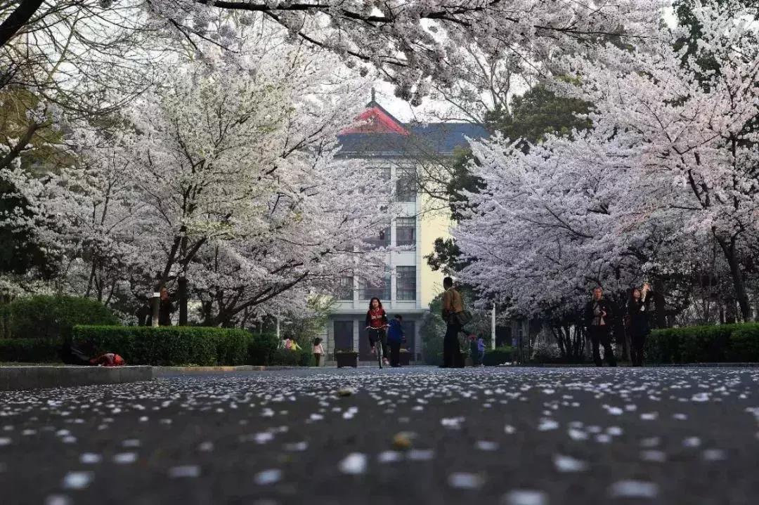 全国人眼中的南京大学,各省眼中的南京