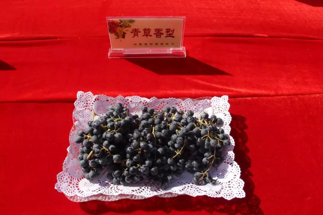 吃得明白看着糊涂,吃得明白看着糊涂心里清楚