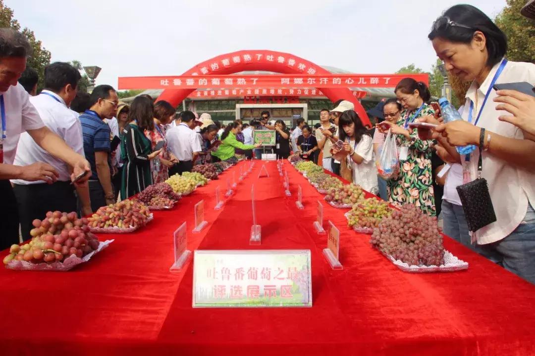 吃得明白看着糊涂,吃得明白看着糊涂心里清楚