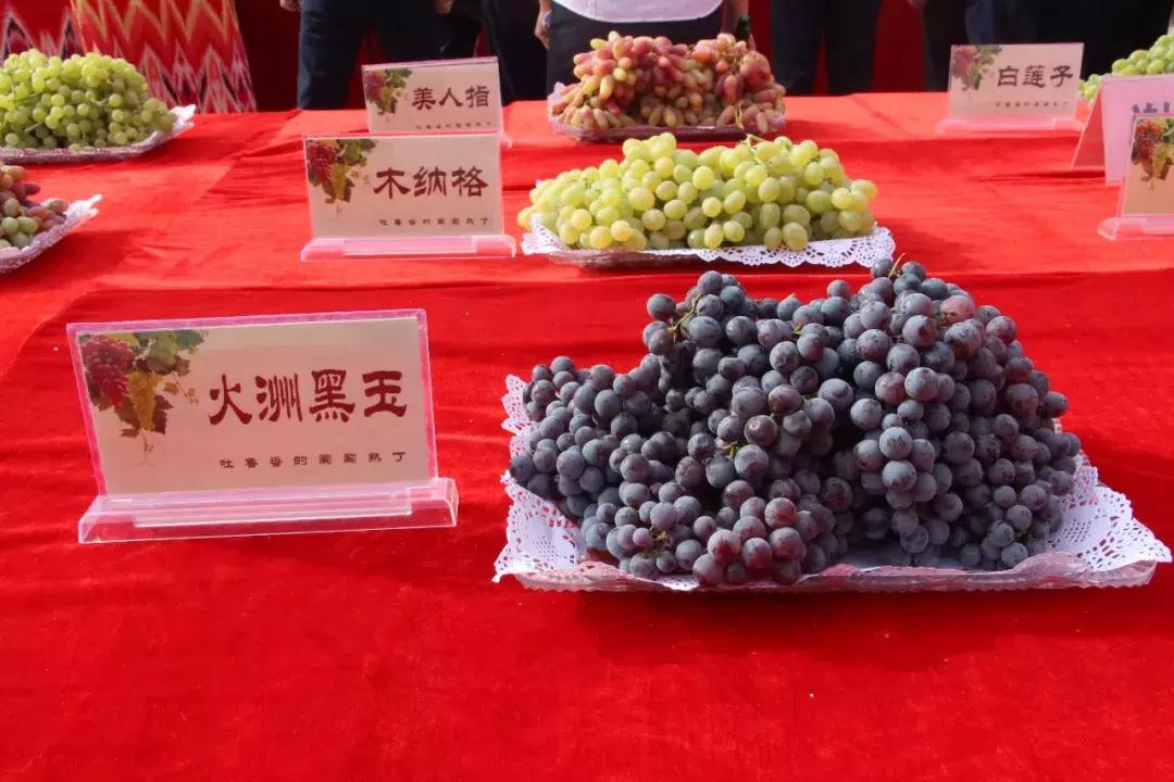 吃得明白看着糊涂,吃得明白看着糊涂心里清楚