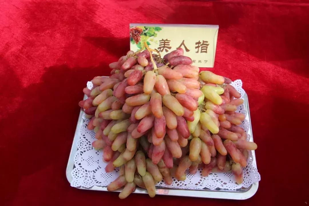 吃得明白看着糊涂,吃得明白看着糊涂心里清楚