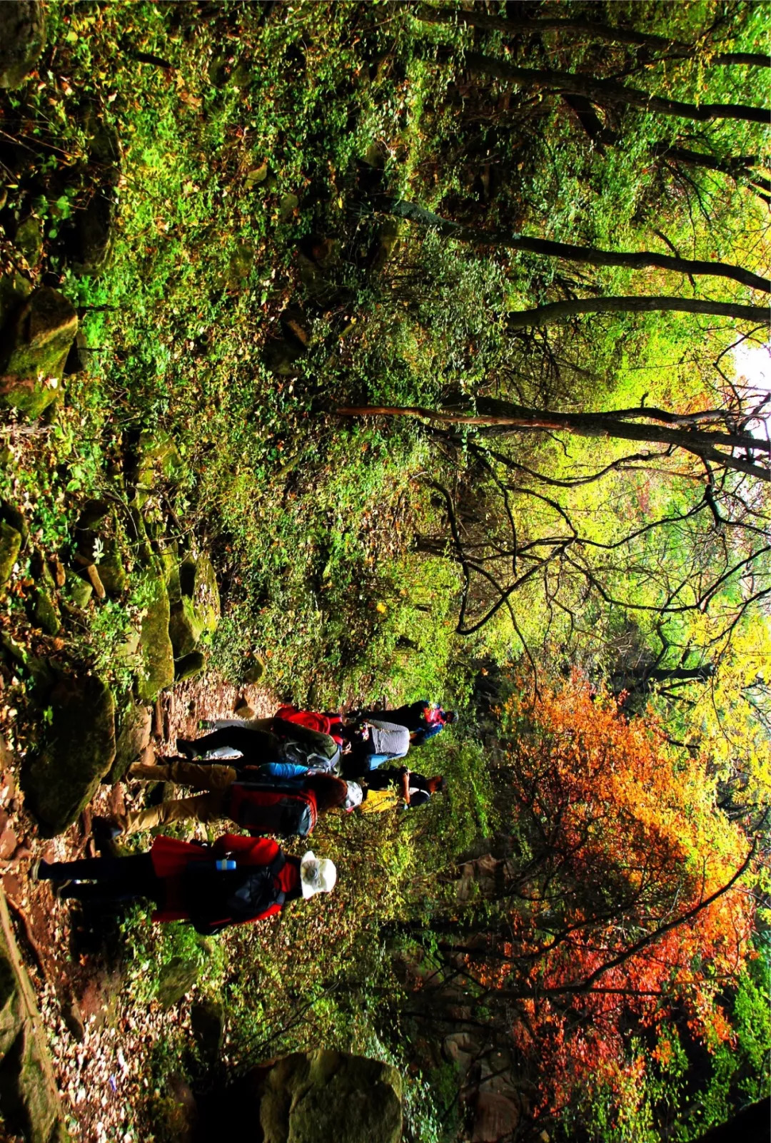 什么是韩城,韩城是哪