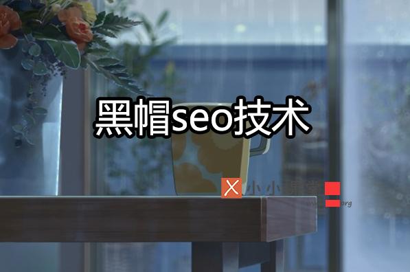 白帽seo和黑帽seo的主要区别是什么,常见的几种黑帽seo优化手段