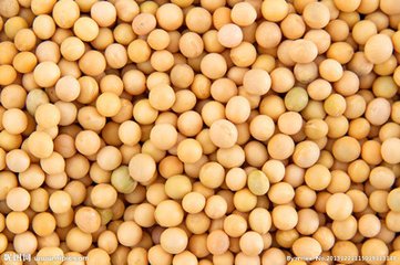 小龙虾幼苗喂豆浆多久喂一次,鱼缸养小龙虾喂什么东西