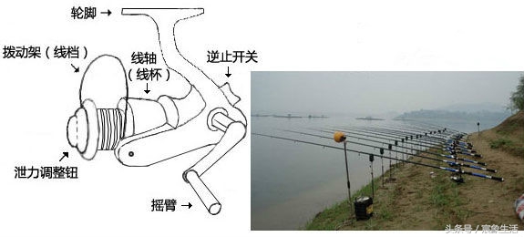 你了解野钓有哪些注意事项吗,矶钓知识