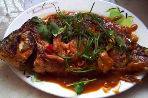 冬天来合阳,赏万顷芦荡,候鸟齐飞(组图)