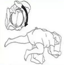 侧卧位分娩法适用于什么样产妇,滚动法自由体位分娩