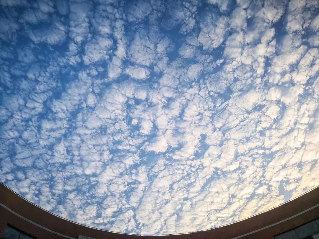 哎呀！我的天呐！发生了什么！