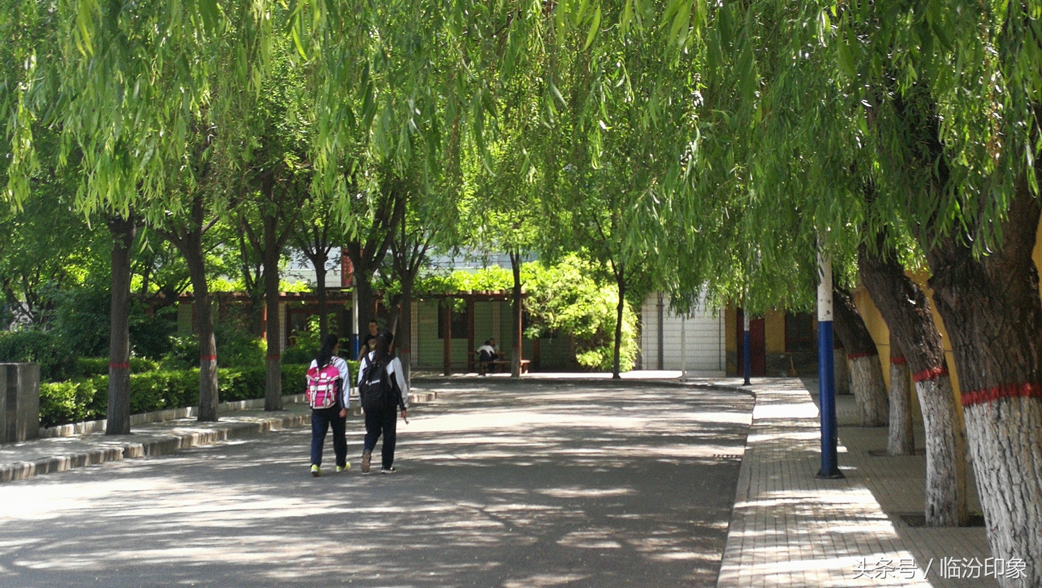 临汾三中在山西省处于什么档次,临汾三所中学