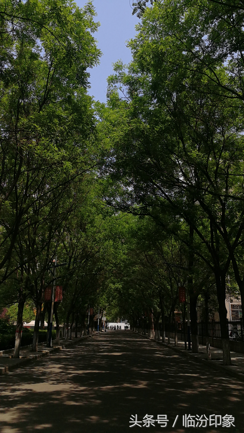 临汾三中在山西省处于什么档次,临汾三所中学