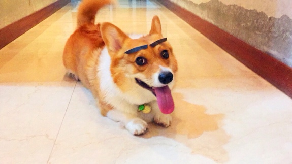 k3003线材质量,k3003耳机线好坏