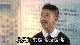 1080ti泰坦显卡公版信仰,英伟达rtx2080ti和gtx1080ti