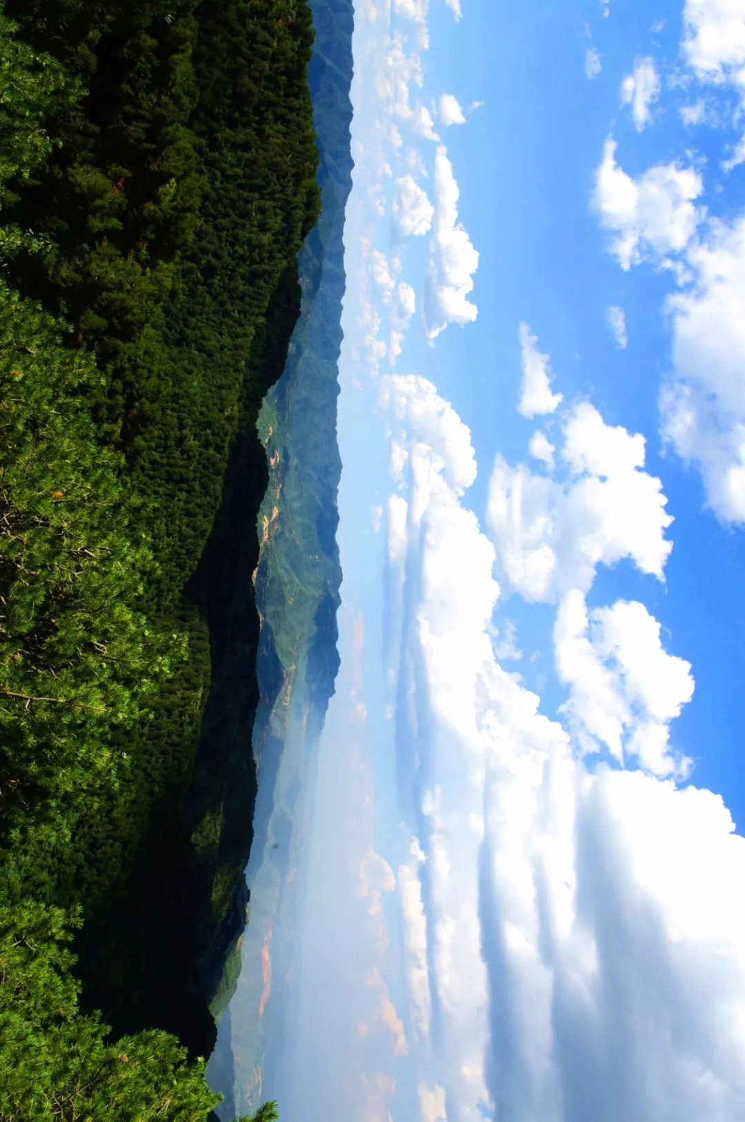 这是我见过最好的回答,韩城是怎么来的