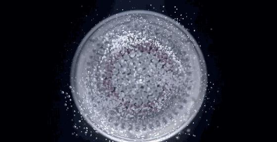 8月爱用品分享,十一月爱用品推荐