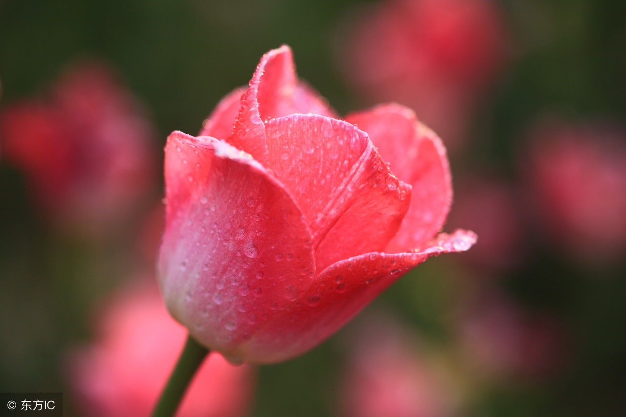 孕期，这些检查你都做了吗？