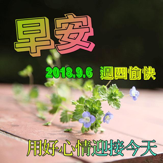 最新老公早上好表情动态图片大全,微信早上好动态表情包图片大全集