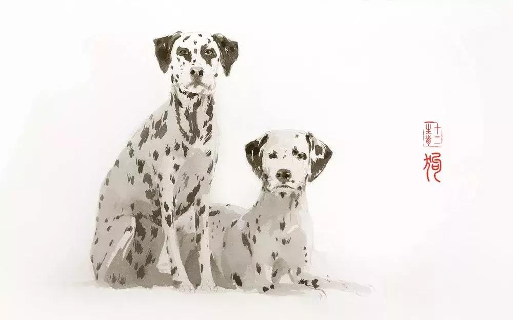 如何破解属相相合,属相相互克制怎么破解