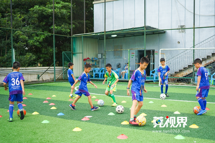 东莞足球天才少年,东莞14岁篮球少年