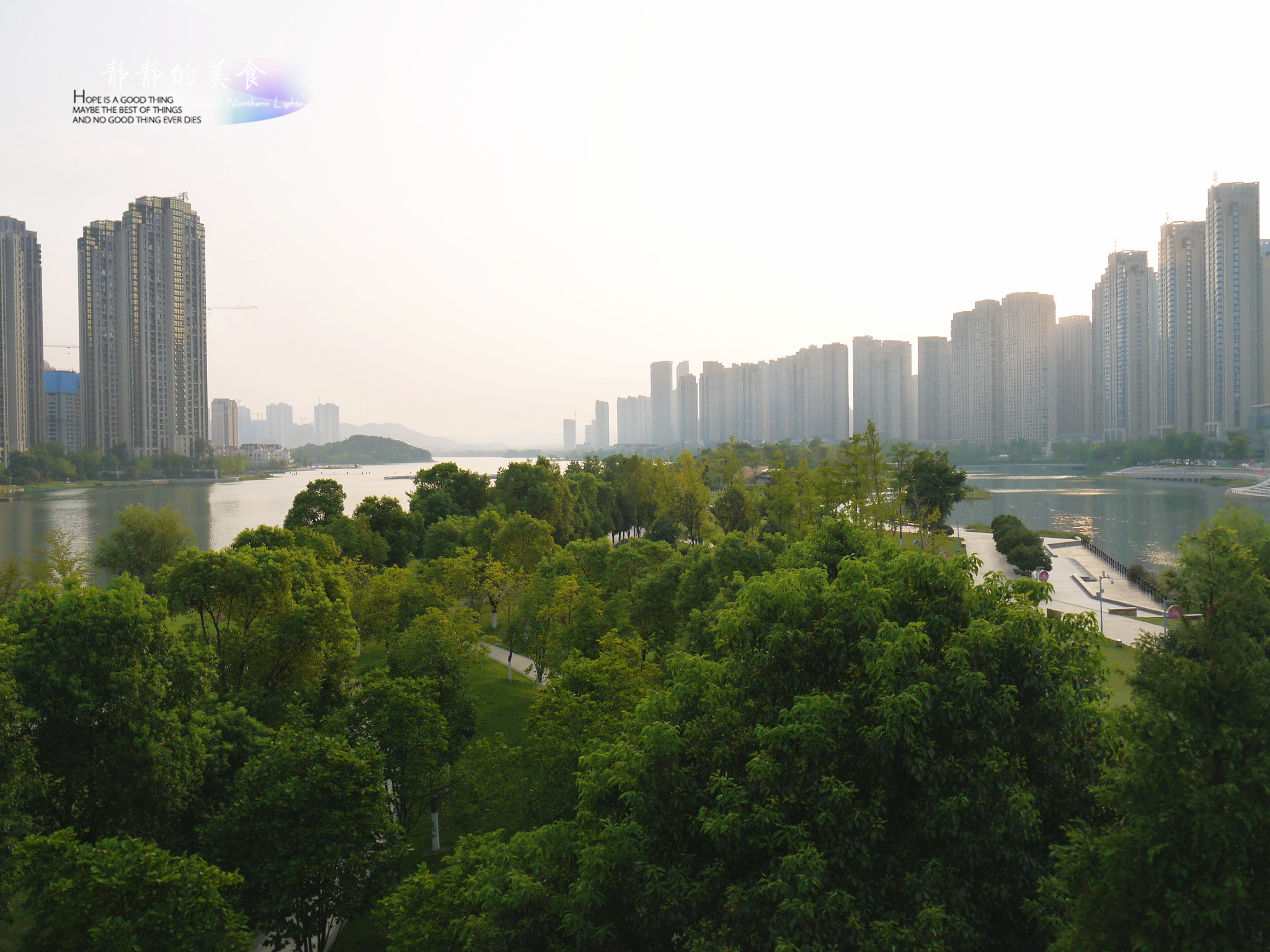 食物泡椒芝士焗青口贝,焗烤青口贝简单又好吃