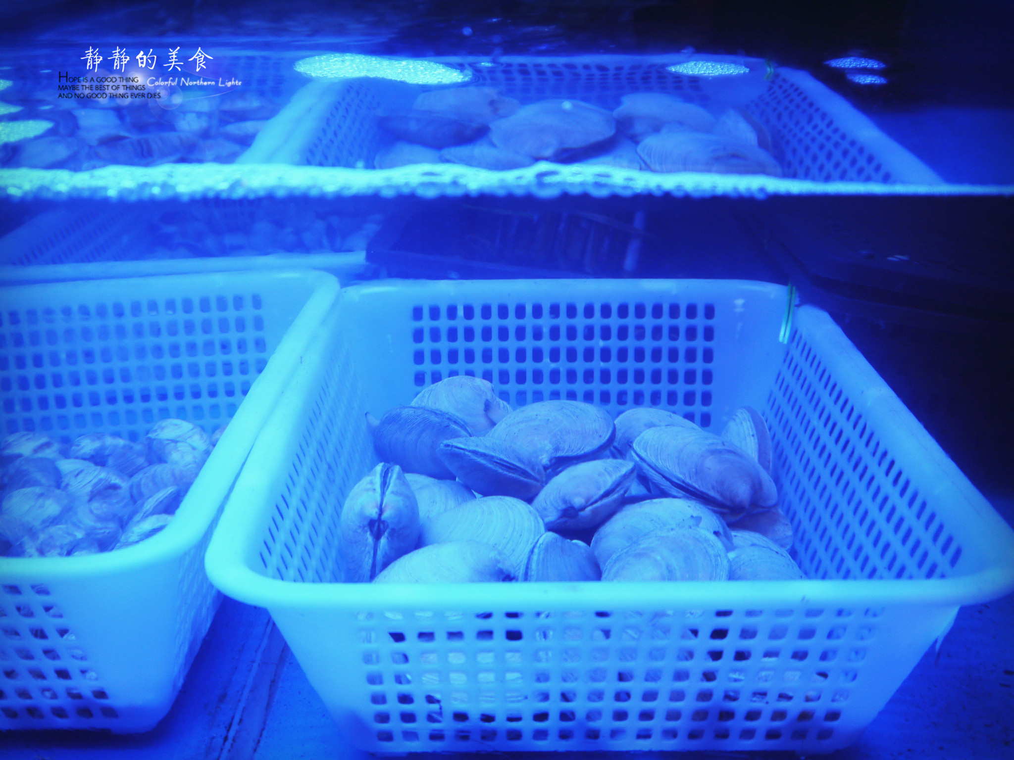 食物泡椒芝士焗青口贝,焗烤青口贝简单又好吃