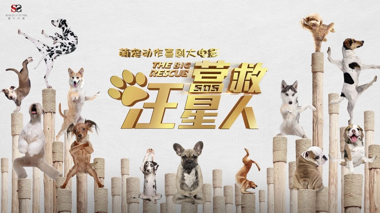 九月下半月值得看的电影，快点收藏起来，带男/女朋友去看吧！