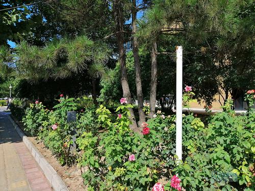 千元霸屏荣耀8x综合测评,荣耀8x的优缺点