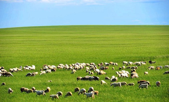 九月最适合旅游的地方推荐,九月去哪儿旅游最好