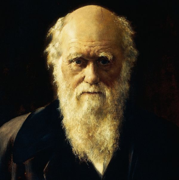 达尔文和拉马克进化论,达尔文和拉马克谁先提出进化论