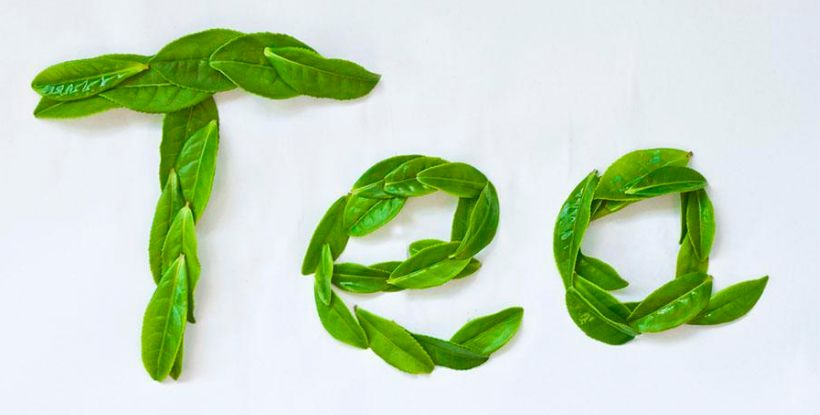 每周英语时光｜Whois谁是“茶博士”？TeaDoctor?