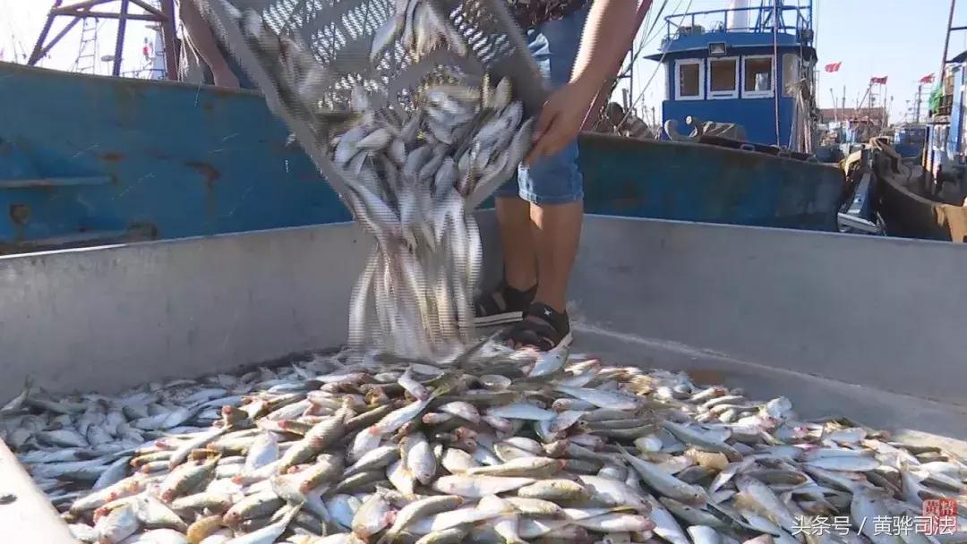黄骅本地人吃海鲜的地方,黄骅海鲜干货