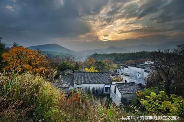 黄山旅游攻略黟县民宿景点,黄山宏村千岛湖西塘旅游攻略