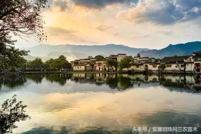 黄山旅游攻略黟县民宿景点,黄山宏村千岛湖西塘旅游攻略