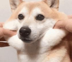 有哪些韩国面膜好用却冷门,韩国哪款面膜出问题了