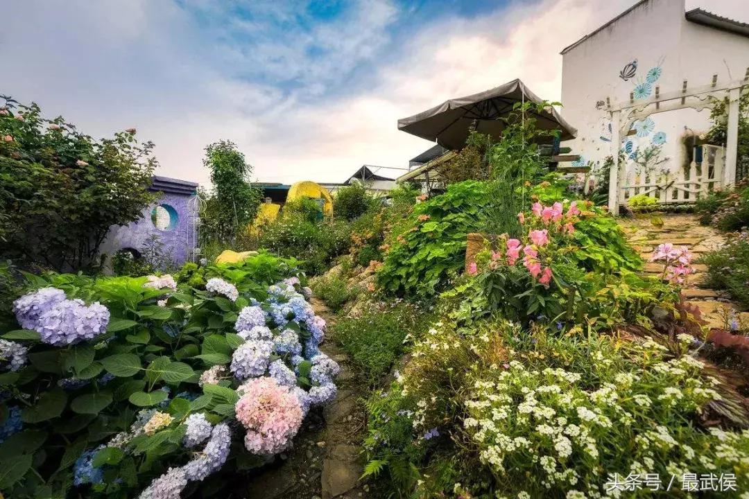 成都近郊免费一日游自驾,成都温江十大景点免费