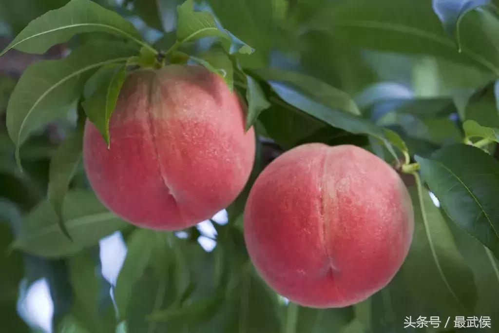 成都近郊免费一日游自驾,成都温江十大景点免费