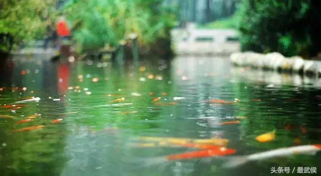 成都近郊免费一日游自驾,成都温江十大景点免费