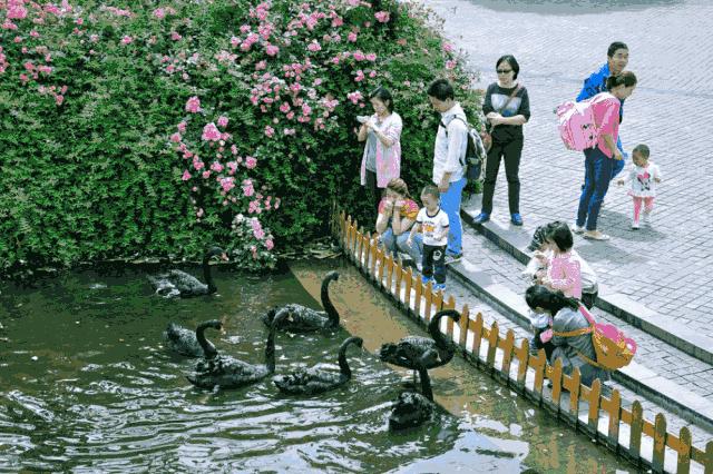 成都近郊免费一日游自驾,成都温江十大景点免费