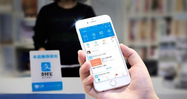 支付宝什么养老基金推荐,支付宝买的养老基金哪里看