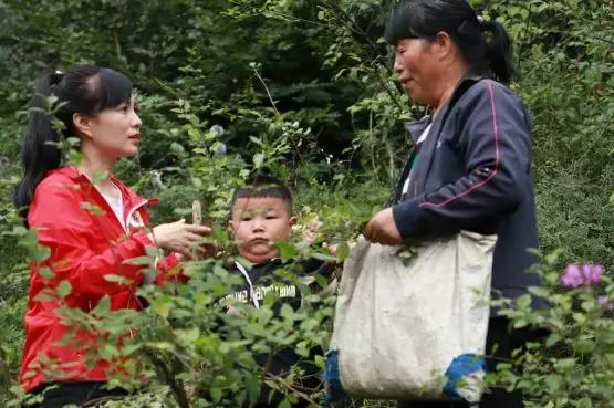 脱贫大决战,脱贫大决战滑县