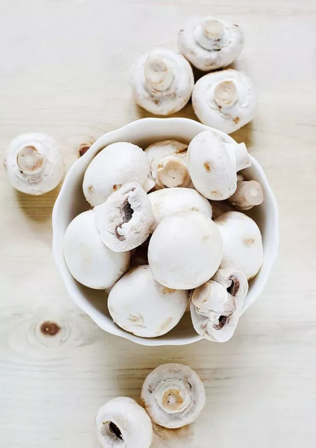 口蘑的产地在哪里,口蘑是不是中国美味蘑菇